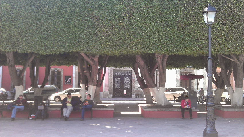 People sitting on benches in Queretaro